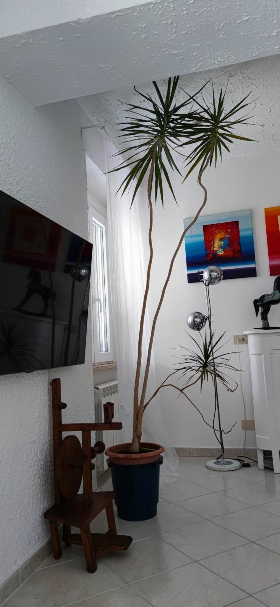 Residenza Bertolini Leilighet Fosdinovo Eksteriør bilde